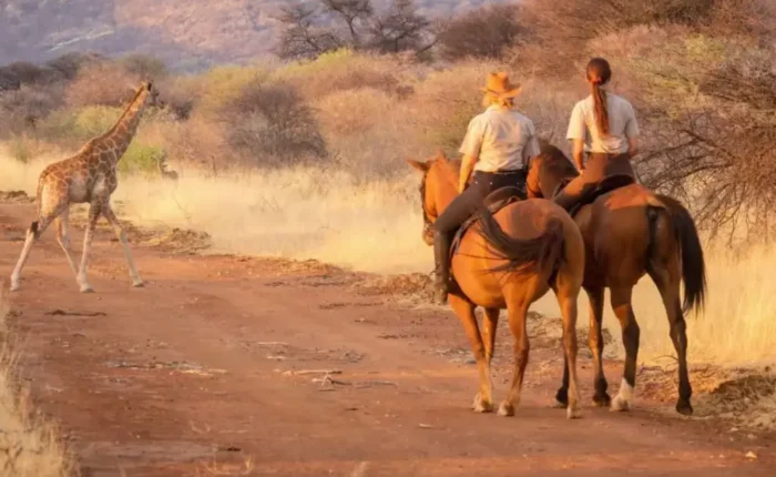 sunset horse riding day tour f img