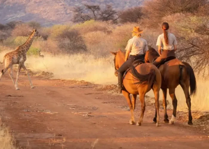 sunset horse riding day tour f img