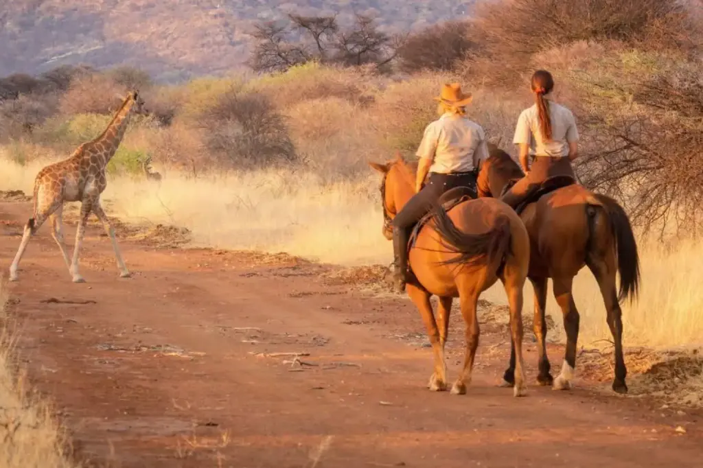 African Safari Tours & Holidays, Safari World Tours