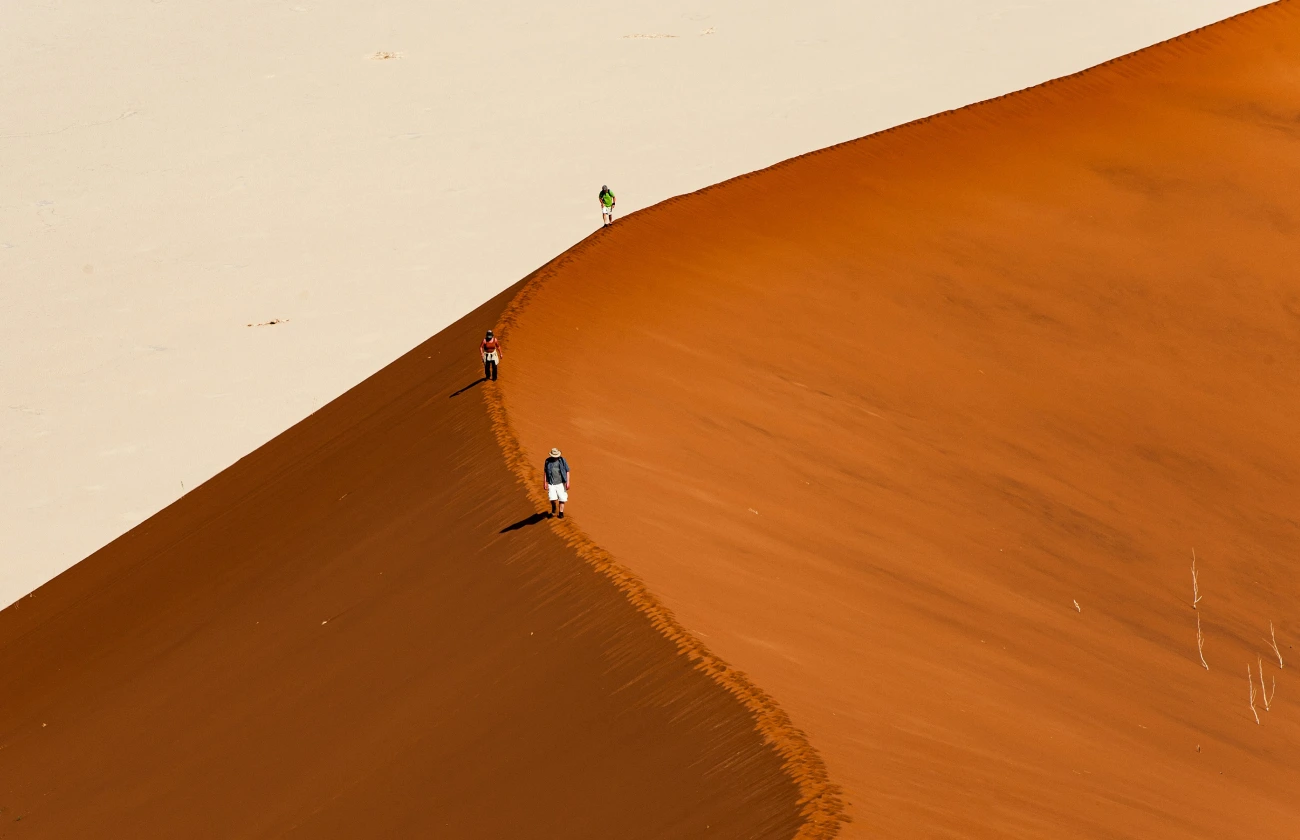 Wandersafari