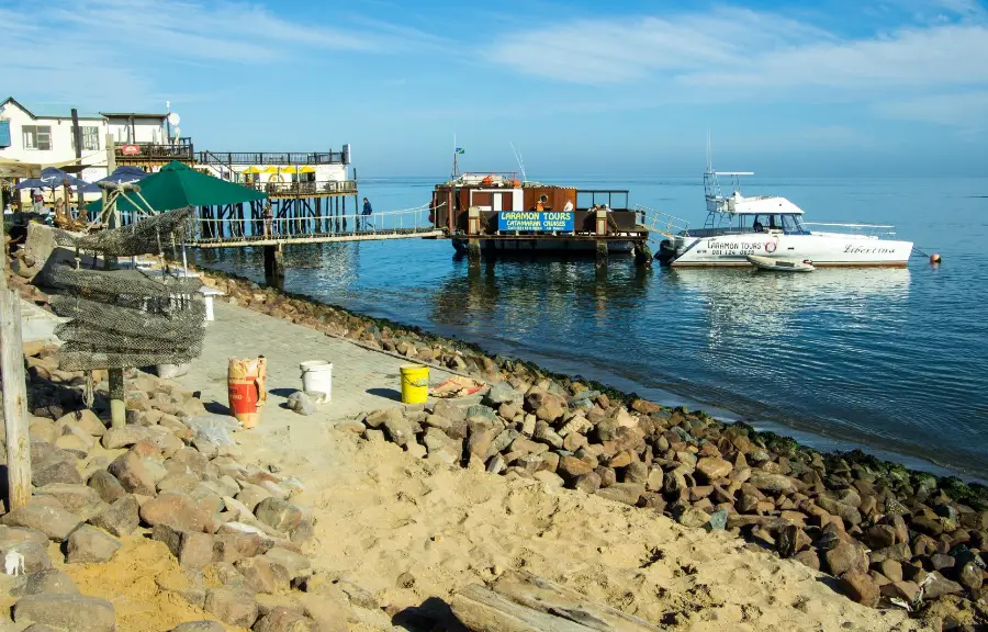 walvis bay new