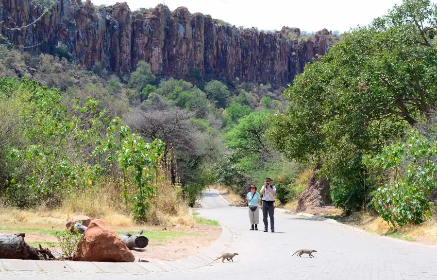waterberg national park new waterberg national park new