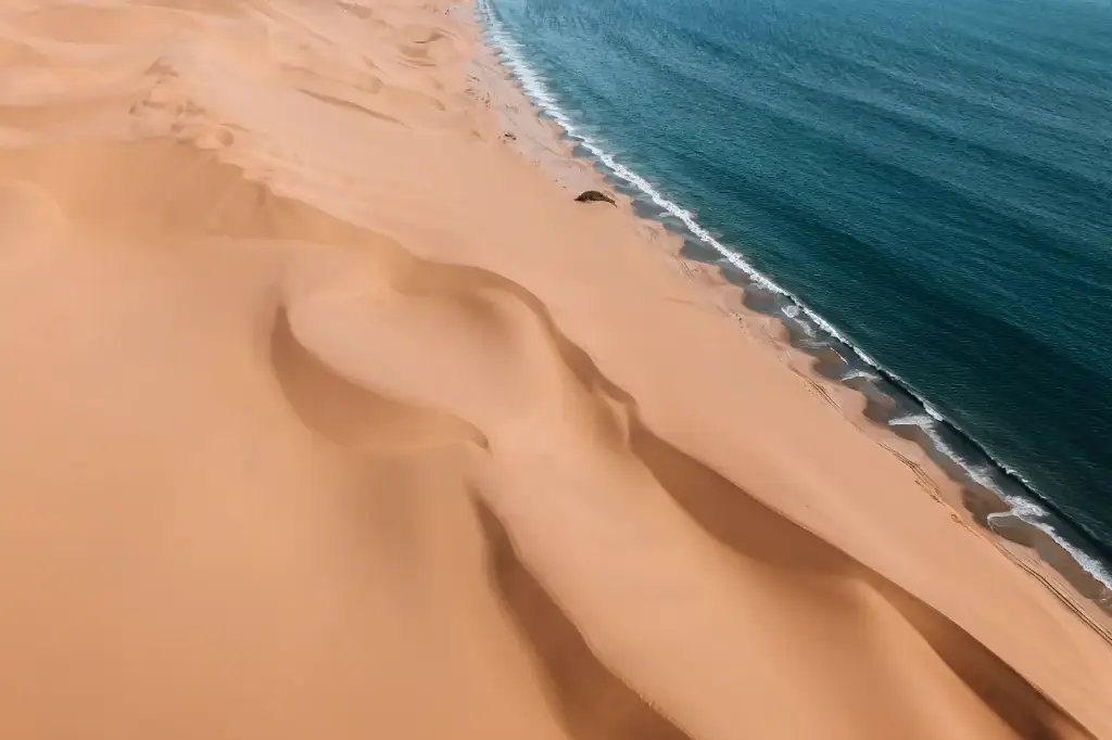 African Safari Tours & Holidays, Safari World Tours