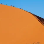 11 Tage Namibia Big 5 Wildlife Safari mit Chobe NP Tour (Unterkunft)