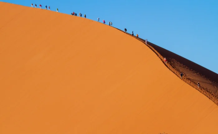 11 Days Namibia Big 5 Wildlife Safari with Chobe NP Tour (Lodging)