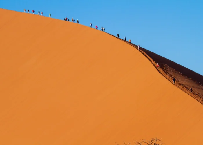 11 Days Namibia Big 5 Wildlife Safari with Chobe NP Tour (Lodging)
