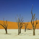 12 Tage Trail Safari in Namibia, Botswana und Vic Falls (Unterkunft)