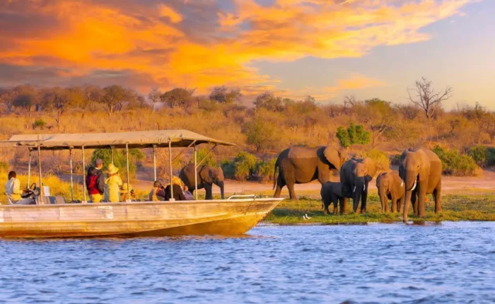 12 Days Trail Safari in Namibia, Botswana and Vic Falls (Lodging)