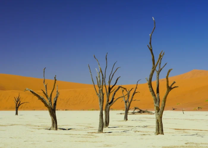 12 Tage Trail Safari in Namibia, Botswana und Vic Falls (Unterkunft)