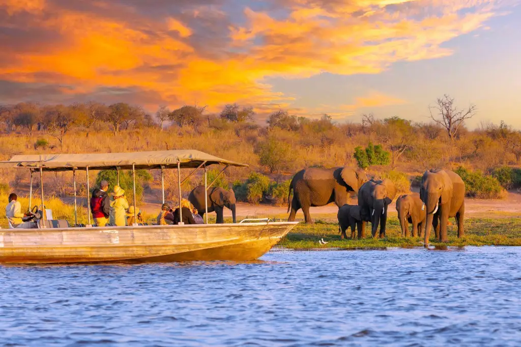 African Safari Tours & Holidays, Safari World Tours