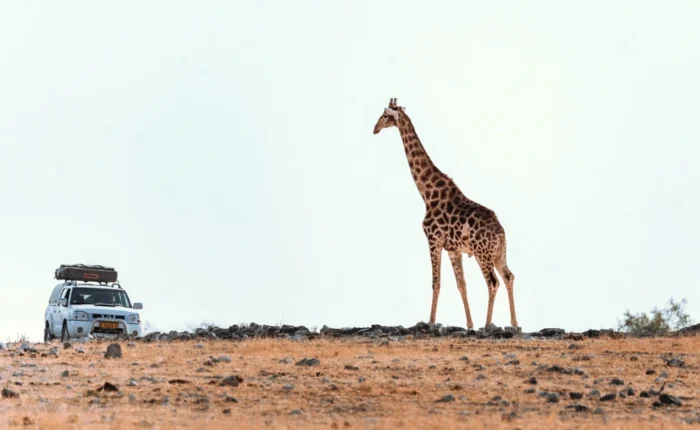 14 Days Self-Drive Ultimate Namibia Safari