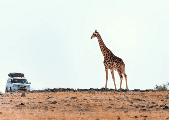 14 Days Self-Drive Ultimate Namibia Safari