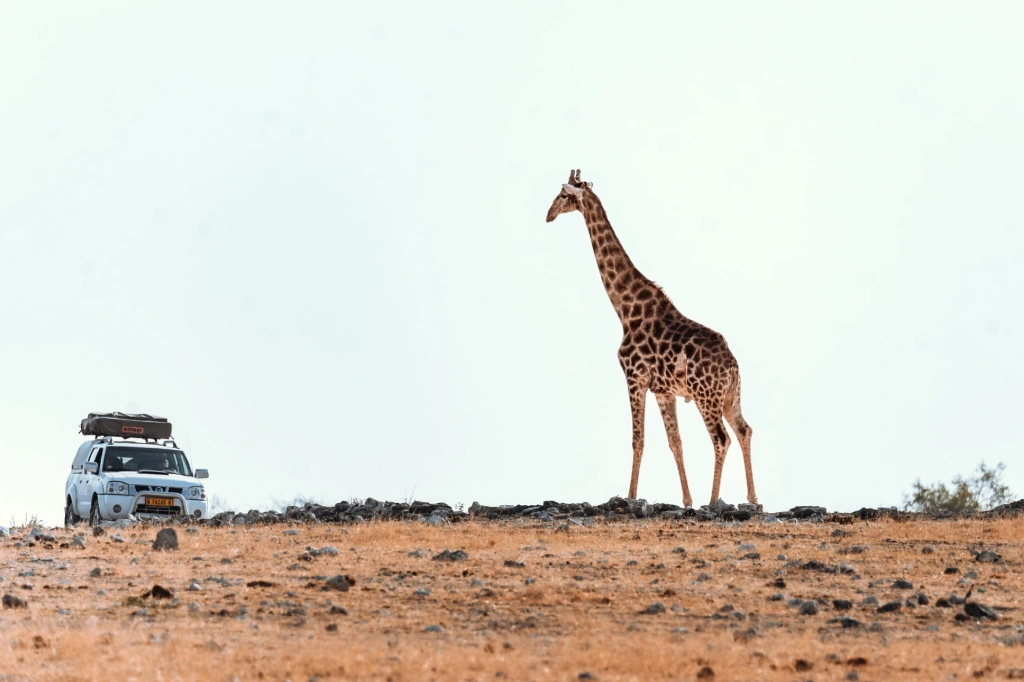 14 Days Self-Drive Ultimate Namibia Safari New