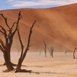14 Days Tour to Great Safari in Namibia, Botswana & Victoria Falls Tour (Camping)
