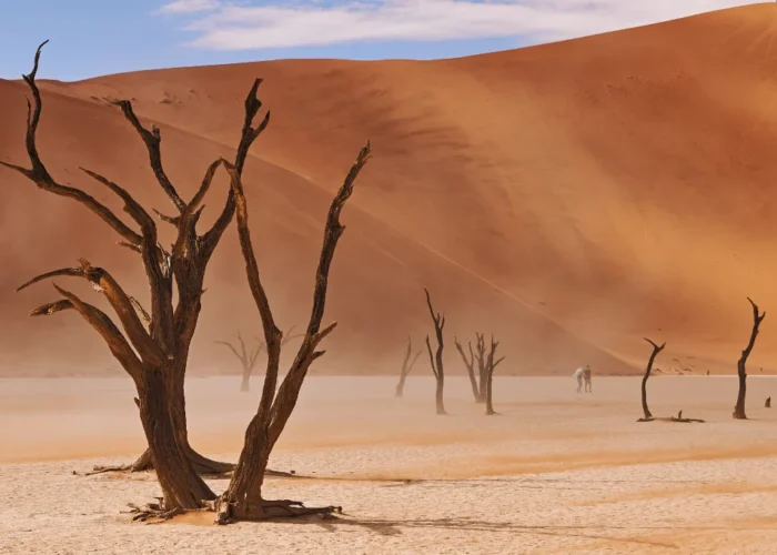 14 Days Tour to Great Safari in Namibia, Botswana & Victoria Falls Tour (Camping)