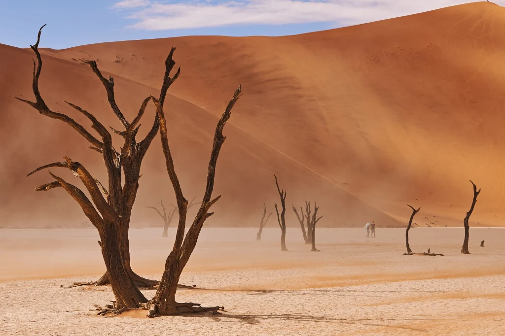 African Safari Tours & Holidays, Safari World Tours