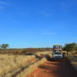 14 Days Tour to Wonderful Safari in Namibia, Botswana & Victoria Falls Tour (Accommodated)