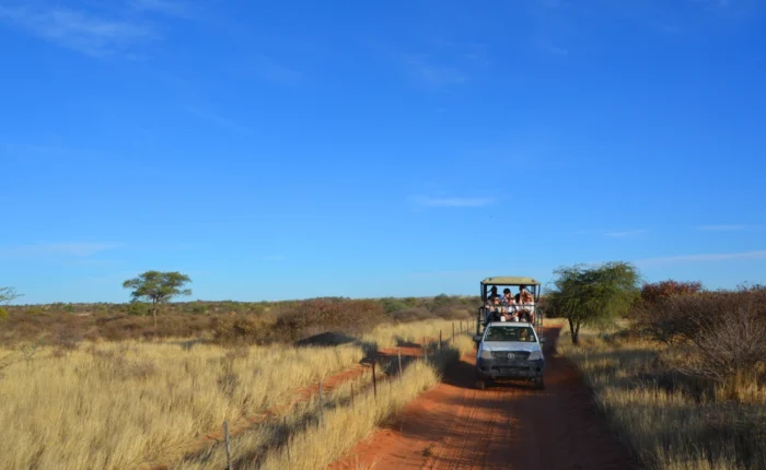 14 Days Tour to Wonderful Safari in Namibia, Botswana & Victoria Falls Tour (Accommodated)