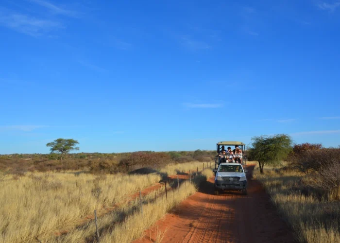 14-tägige Tour zu einer wundervollen Safari in Namibia, Botswana und zu den Victoriafällen (mit Unterkunft)