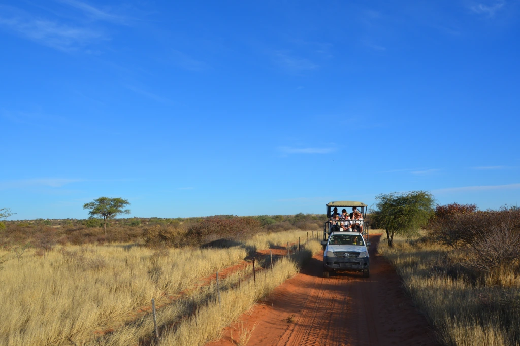 African Safari Tours & Holidays, Safari World Tours