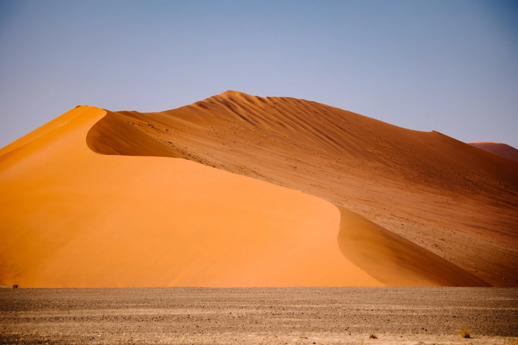 African Safari Tours & Holidays, Safari World Tours