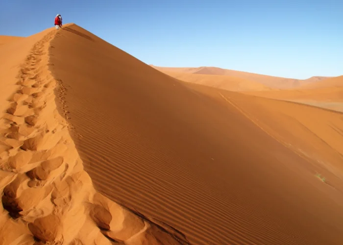 17 Days Best of Namibia