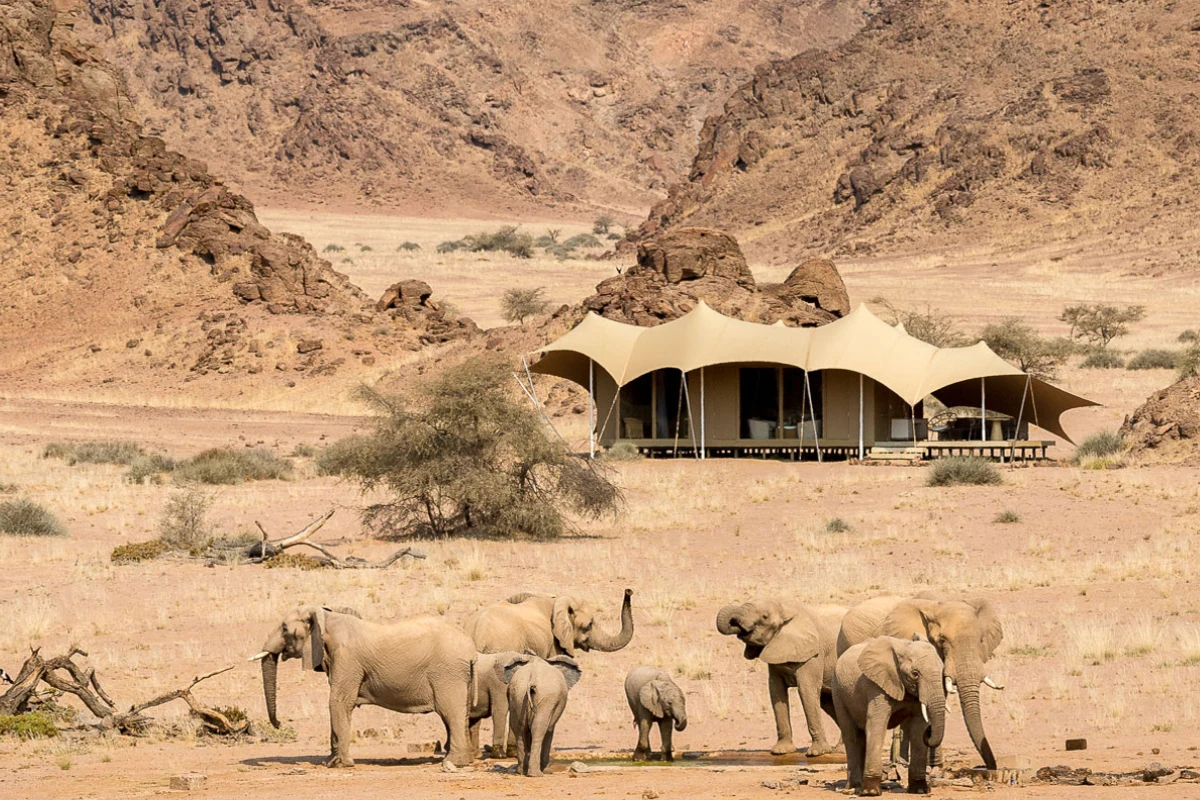 Desert Elephant Camping