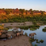 22 Tage-Namibia, Botswana, Vic Falls und (SA) Kruger National Park (Unterkunft)