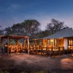 24 Days Tour Southern African Safari - 4 Countries (Camping)