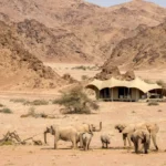 7-tägige Kalahari-Highlight-Safari-Tour (Unterkunft)