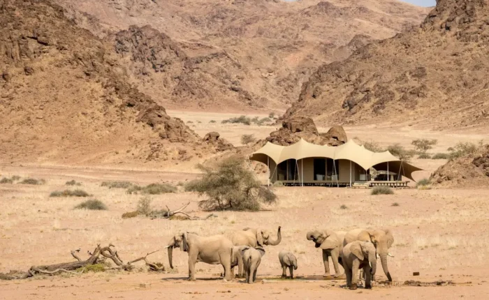 7-tägige Kalahari-Highlight-Safari-Tour (Unterkunft)