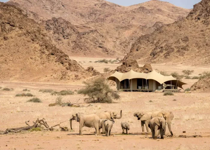 7 Days Kalahari Highlight Safari Tour (Lodging)