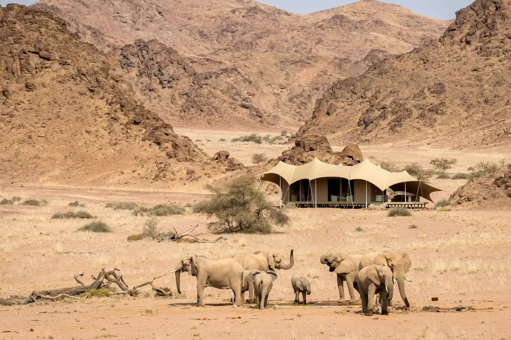 7 Days Kalahari Highlight Safari Tour (Lodging) New