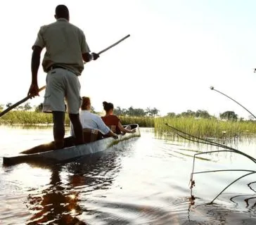 Namibia vs Botswana Safari – Which Destination Is Best for You?, Safari World Tours