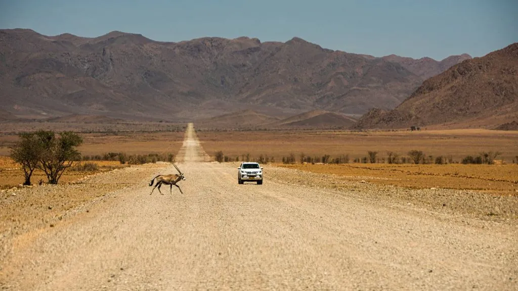 Is It Safe to Self-Drive in Namibia?, Safari World Tours