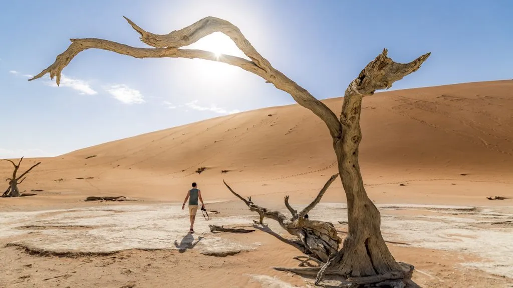 Namibia vs Botswana Safari – Which Destination Is Best for You?, Safari World Tours