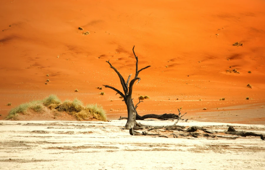 Namibia tour Attraction Namibia tour Attraction