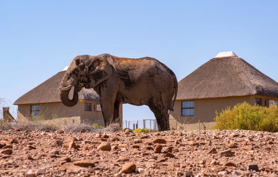 lodging tours