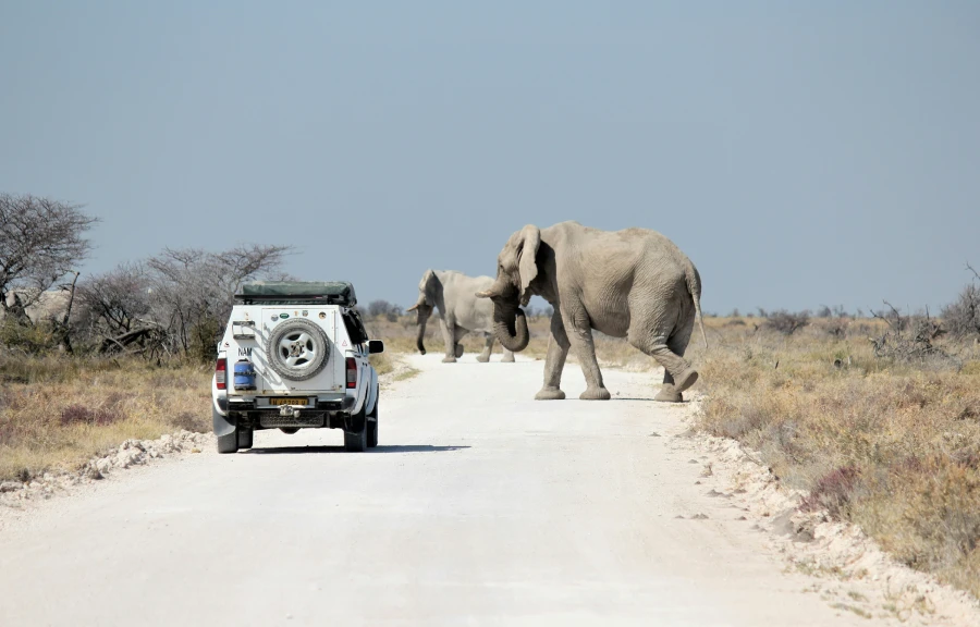 self drive tours self drive tours