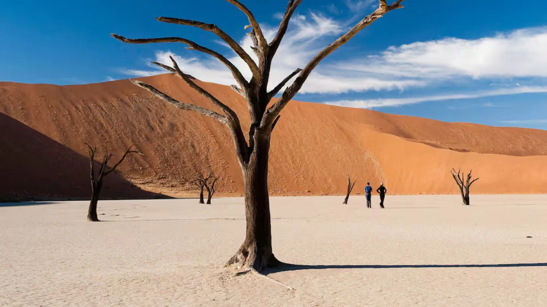 African Safaris African Safaris