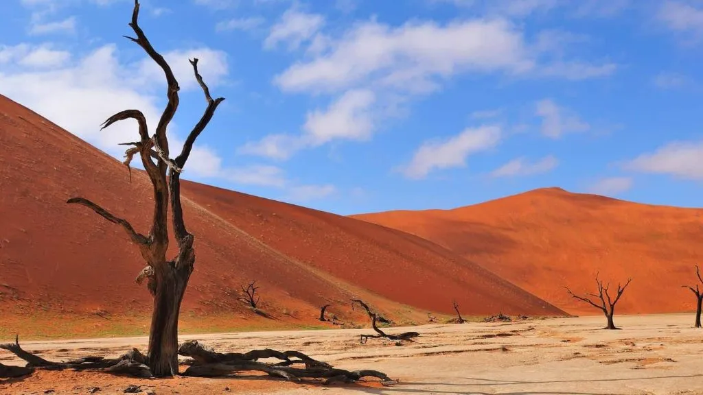 How Namibia Tours Are Changing the Way People See African Safaris, Safari World Tours