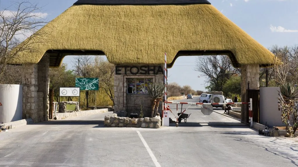 Namibia 4×4 Tours – Guided vs Self-Drive Safaris, Safari World Tours