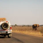 Namibia 4×4 Tours