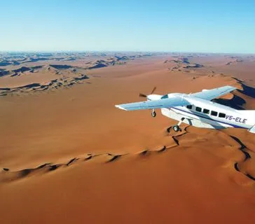 Namibia Road Safari vs Flying Safari: Which Is Better?, Safari World Tours