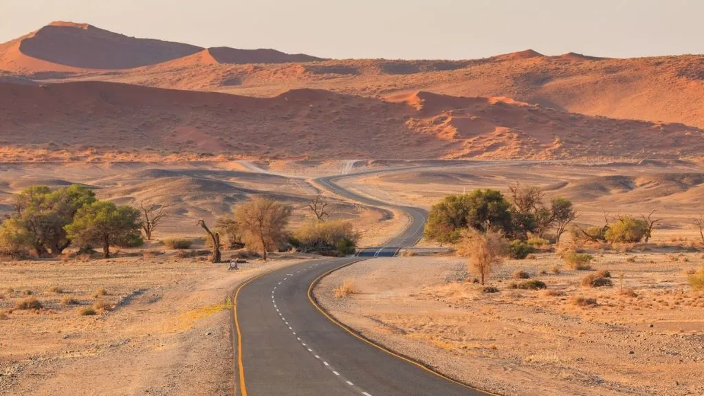Beyond the Dunes: A 10-Day Northern Namibia Itinerary Without the Crowds, Safari World Tours