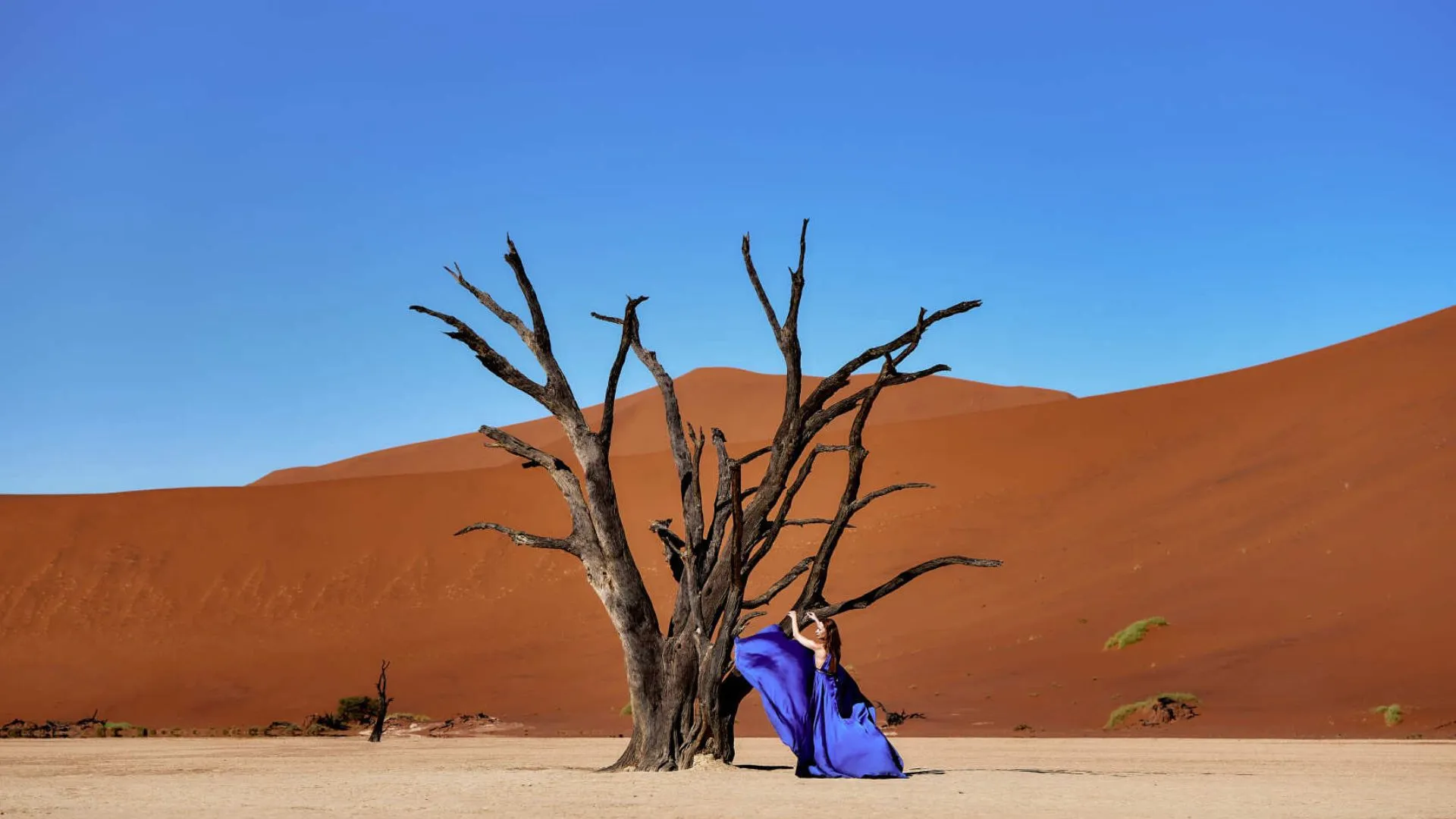 Namibia Safaris Namibia Safaris