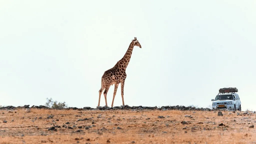 Top 10 Reasons to Travel to Namibia with Safari World Tours, Safari World Tours