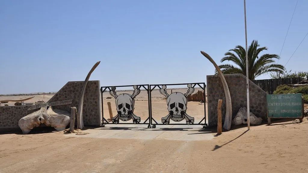 Namibia Road Safari vs Flying Safari: Which Is Better?, Safari World Tours