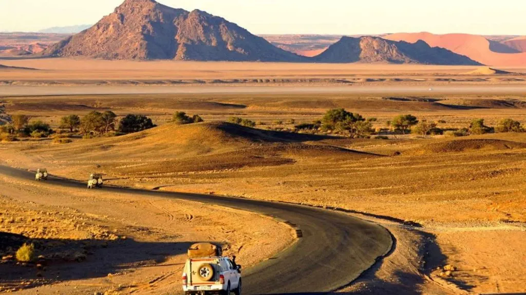 Namibia vs Botswana Safari: Which Destination Is Best for You?, Safari World Tours