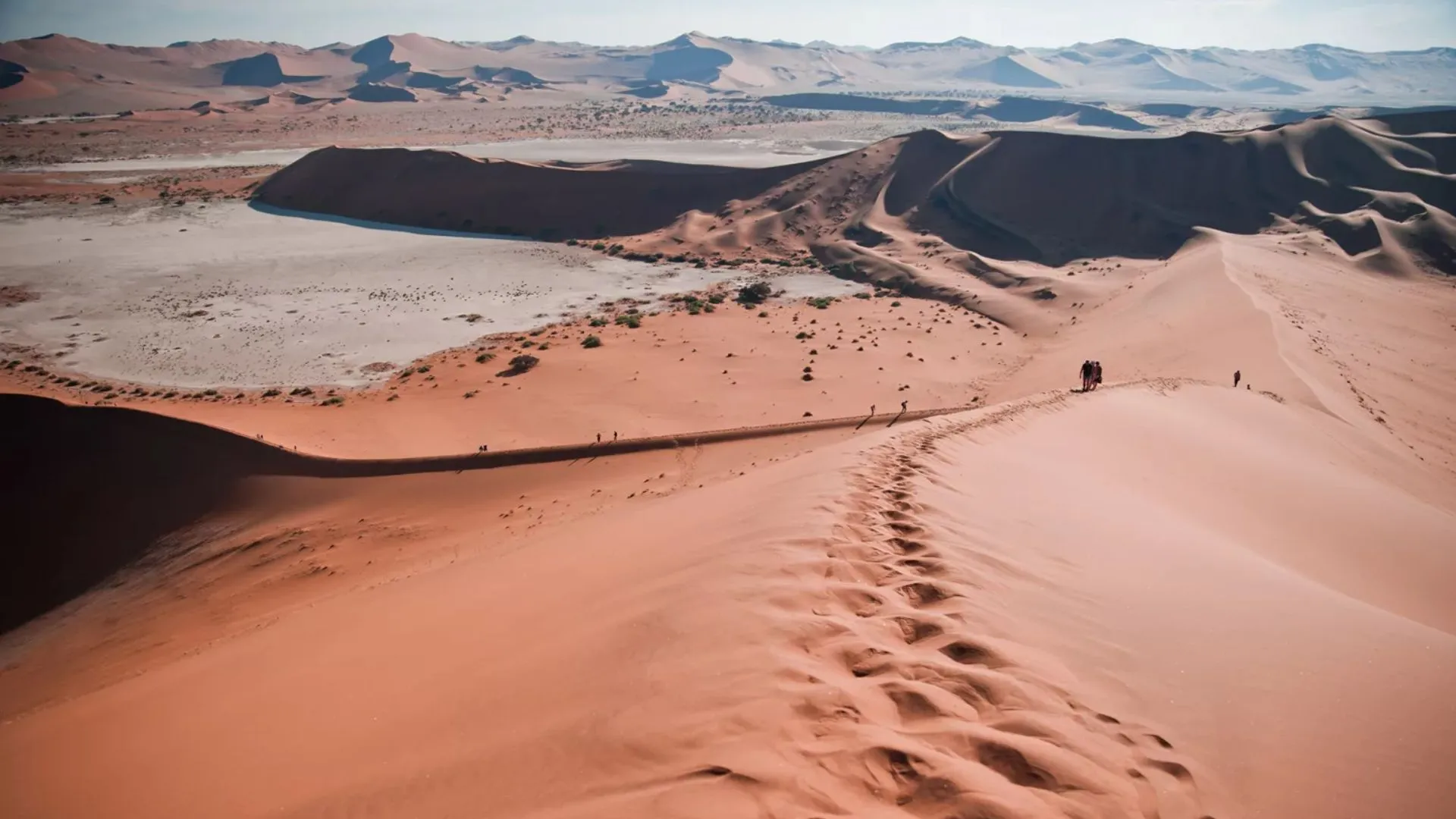 Namibia Safari 2026